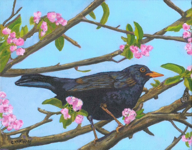 Blackbird and Blossoms
