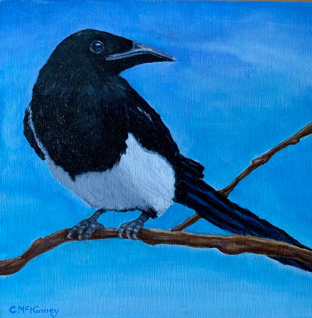 Magpie
