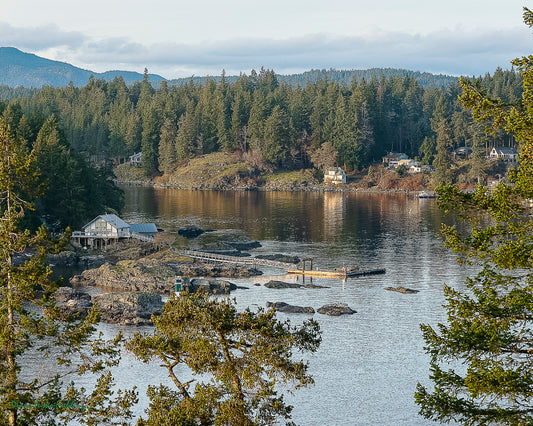 Quathiaski Cove from Whiskey Point Bluffs