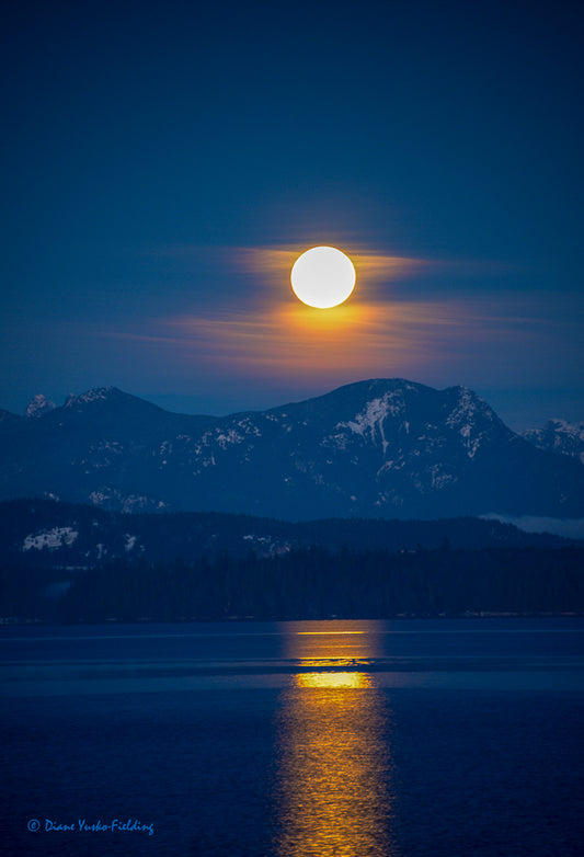 Super Blue Moon Rising